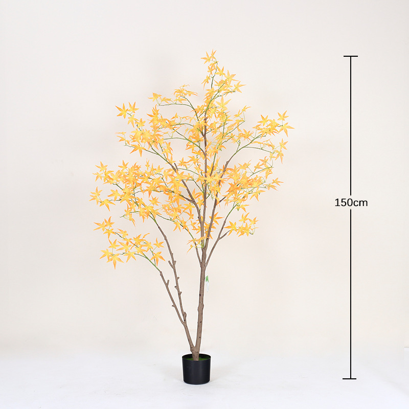150cm