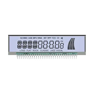 Apparecchiature di controllo industriale 16 segmento Display Lcd nuovo lettore musicale Display Lcd schermo LCD per moto - Product Image 4