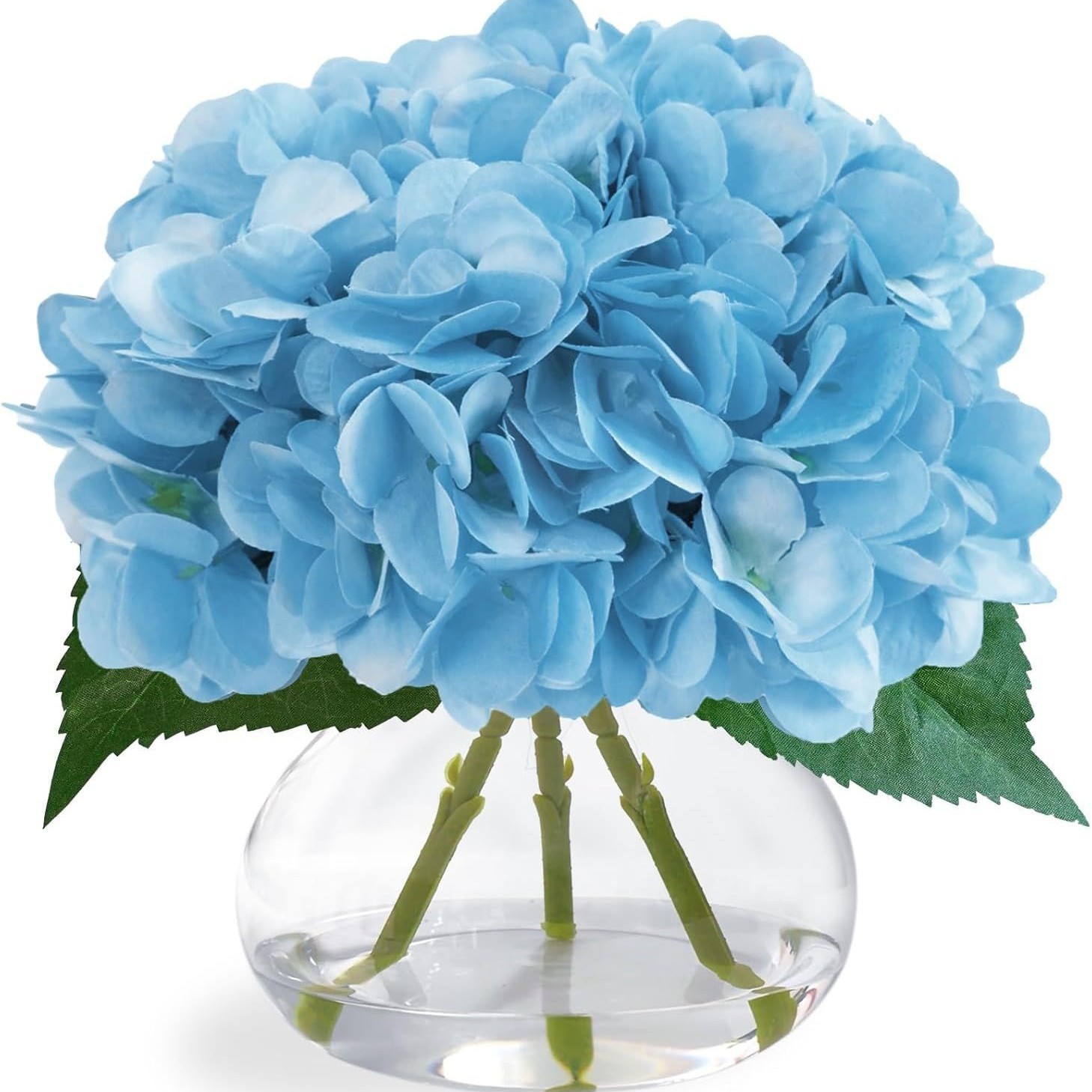 grandi petali di ortensia blu