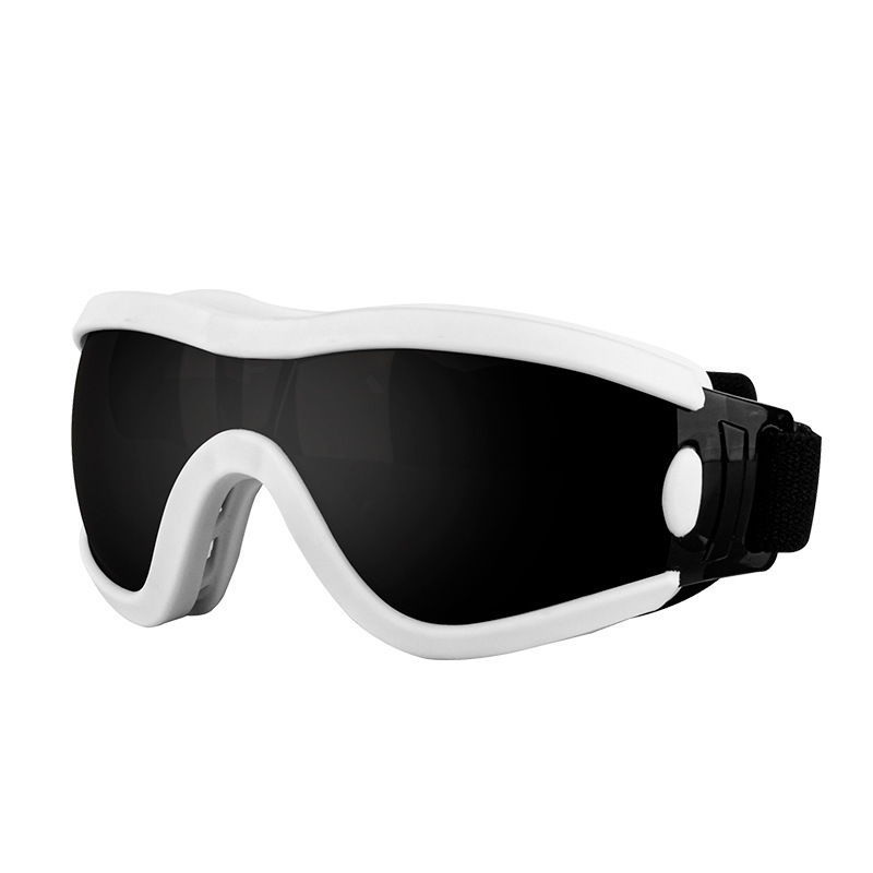 Lunettes pour animaux de compagnie - monture blanche avec verres gris