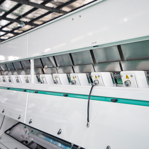 High <strong>Sorting</strong> Accuracy Areca <strong>Nut</strong> <strong>Sorting</strong> <strong>Machine</strong> Areca <strong>Nut</strong> <strong>Color</strong> Sorter <strong>Machine</strong> - Product Image 4