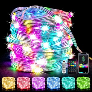 Dream color USB LED Lichterkette BT Musik APP WS2812B Garland Lichterketten für Weihnachten Geburtstags feier Dekoration Wasserdicht - Product Image 3