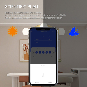Für Tuya Wasserdichter WiFi Ein-Aus-Wand schalter Timer Smart ABS Lichtsc halter für die Heims teuerung über Telefon Smart Life App 10A/16A max - Product Image 4