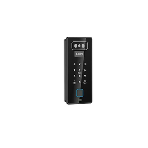 Blocco completamente automatico Tuya telecomando biometria porta impronta digitale serratura riconoscimento facciale con fotocamera