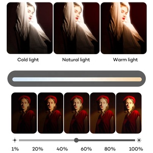 ไฟแอลอีดีวิดีโอไฟ LED แบบมืออาชีพหรี่แสงได้ห้าสี zsyb รีโมทคอนโทรล - Product Image 4