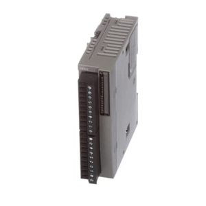 Hot Selling IDEC FC6A-R161 Relay <strong>Output</strong> <strong>Module</strong> for PLC 24VDC <strong>Input</strong> 16 <strong>Inputs</strong> Screw FC6A Series in Stock - Product Image 2