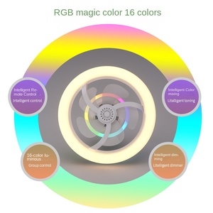 Luz de ventilador-Luz de ventilador de techo ajustable RGB Luz LED de hoja de estilo moderno E27 Cabezal de agitación de 360 grados - Product Image 6