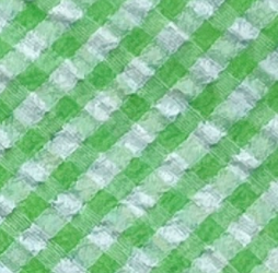 Mint Green & White Gingham
