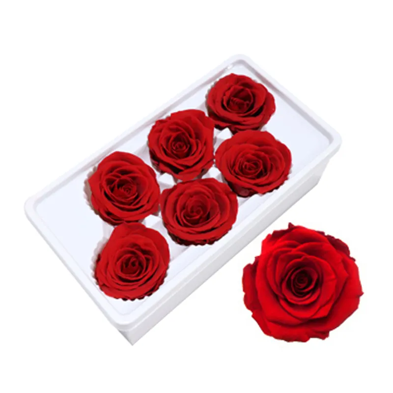 Flores y guirnaldas decorativas para decoración, rosas rojas de 5-6cm con tacto Natural, perfectas para regalo, venta al por mayor