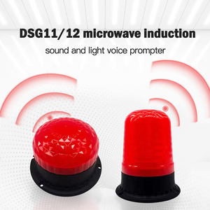 DSG12 Alto decibelio 120DB Sensor de microondas Alarma de sonido y luz Cambio USB Audio Estroboscópico Sirena audible y visual - Product Image 2