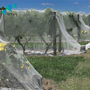 Rete di esclusione degli uccelli BirdBlock rete protettiva caccia Turtle Dove Net cattura Bird Mist Net - Product Image 6