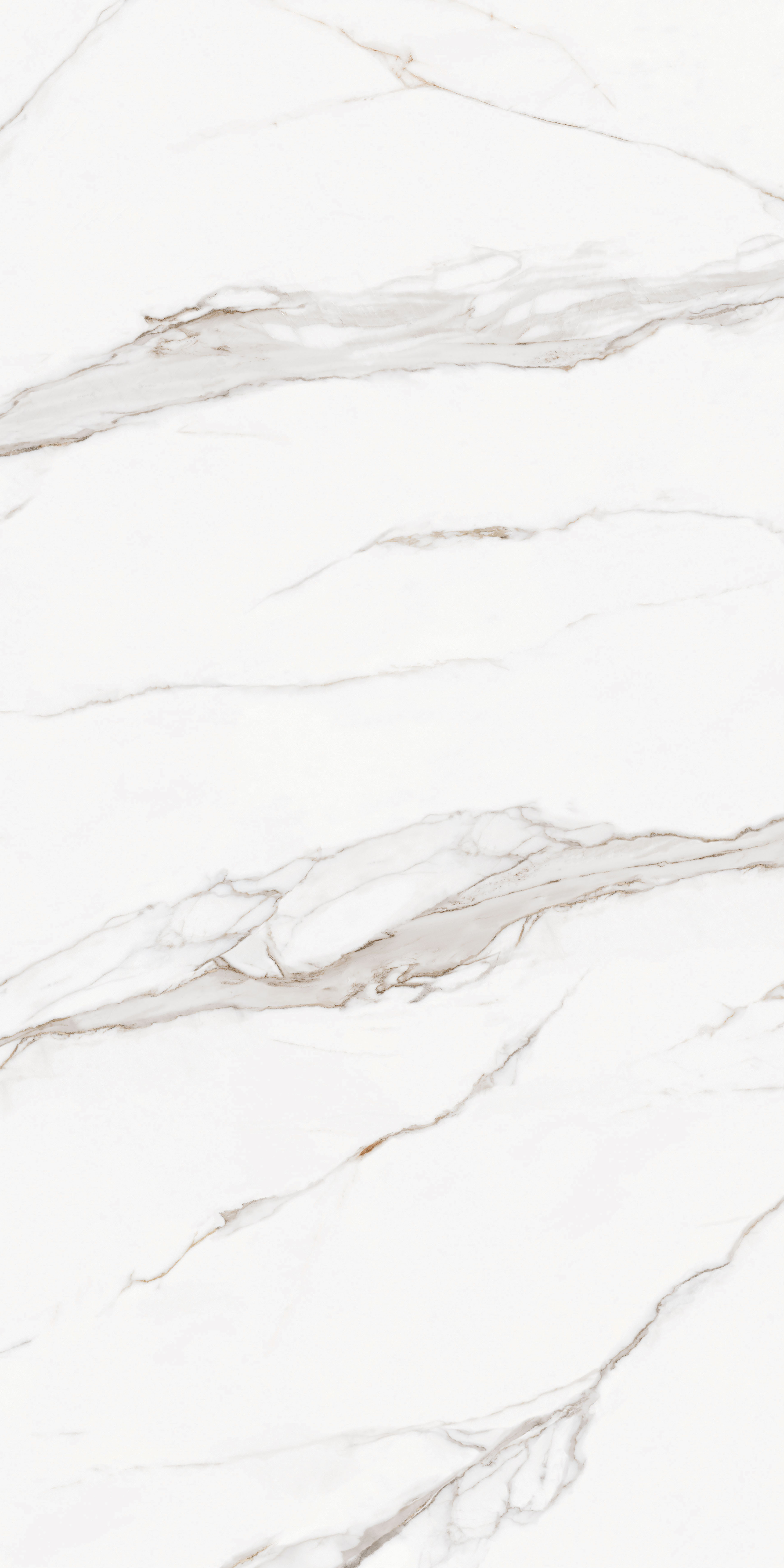 Bianco