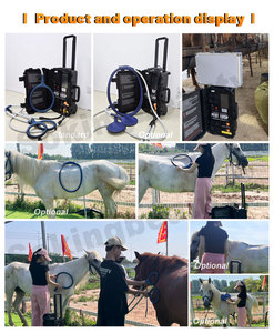 Machine de rééducation magnétique professionnelle de cheval de dispositif de thérapie de Pemf équine vétérinaire portative pour le soulagement de la douleur - Product Image 5