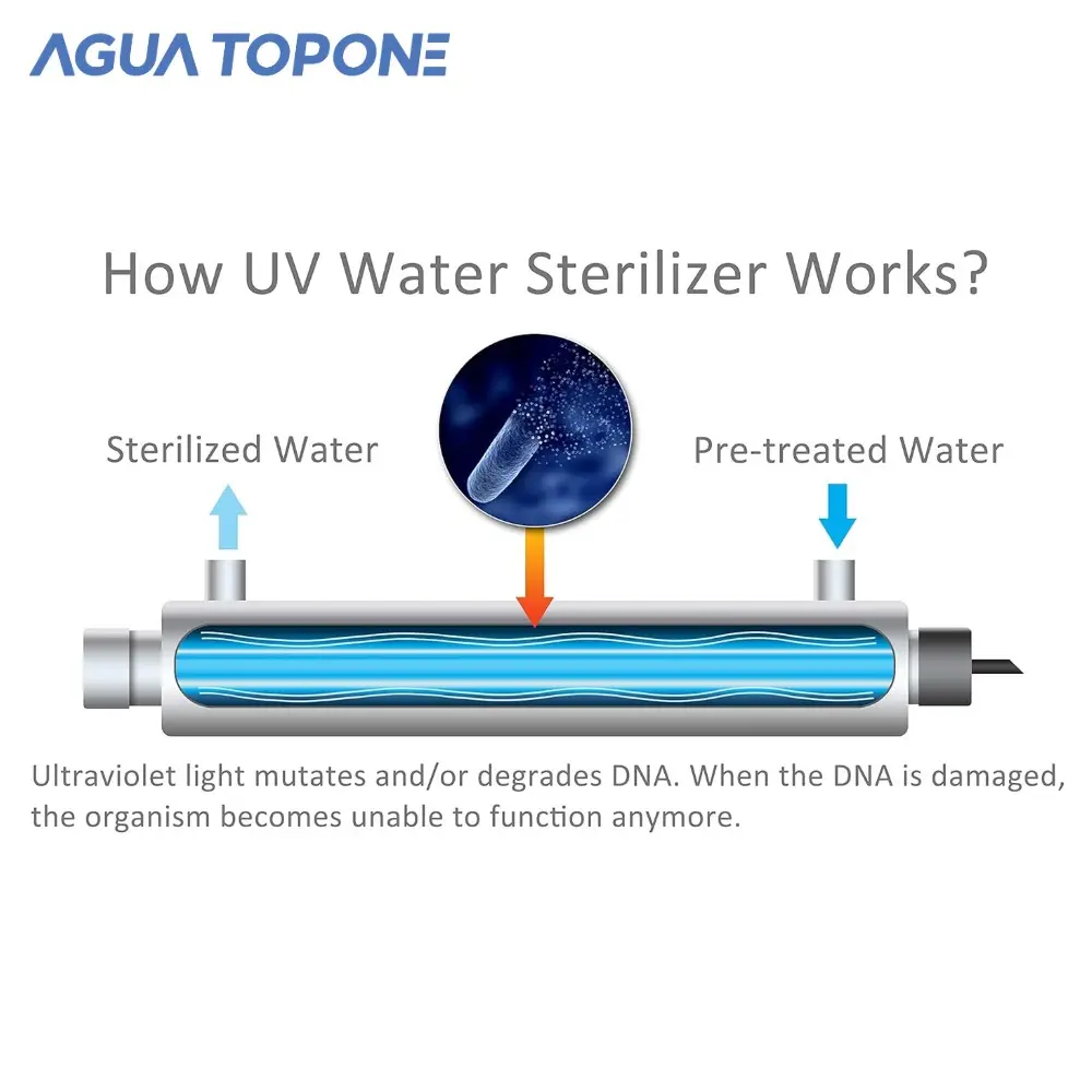 AGUA TOPONE SUS304 Sistema purificador de tratamiento de agua Uv Máquina de purificación para lámpara comercial Filtro de agua Uv Agua