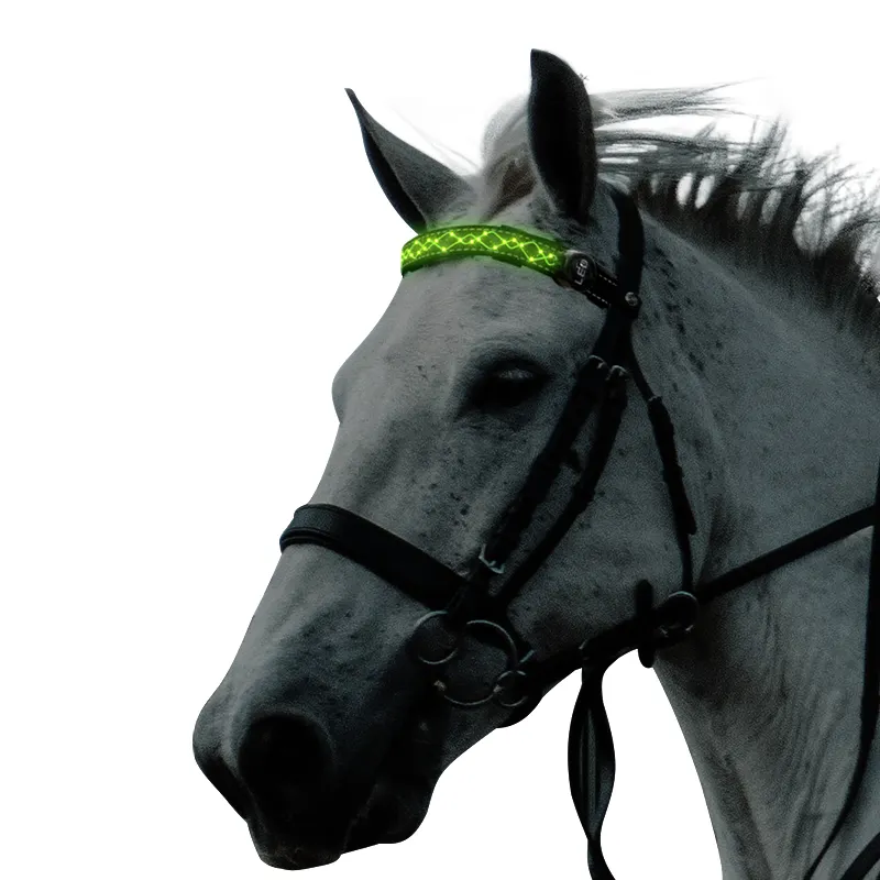 Bandeau cheval avec batterie privée LED, pouces, nouveauté