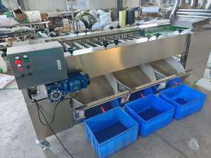 グリーンライム果実仕分けグレーディング機ソーターグレーダーマシンライン分類機