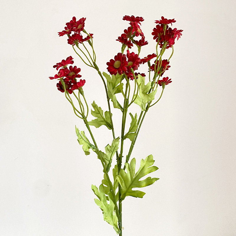 Rosso