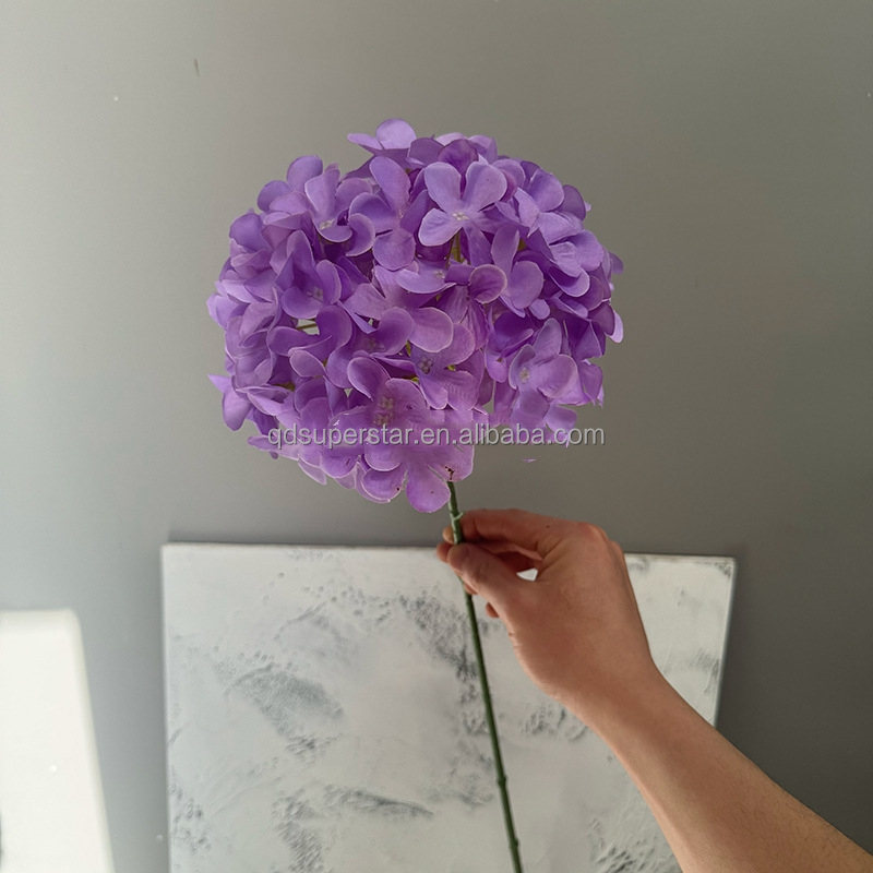 Pourpre