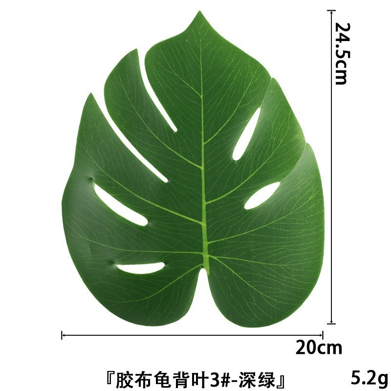 Feuille de Monstera désossée n°3 - Vert foncé - 0262