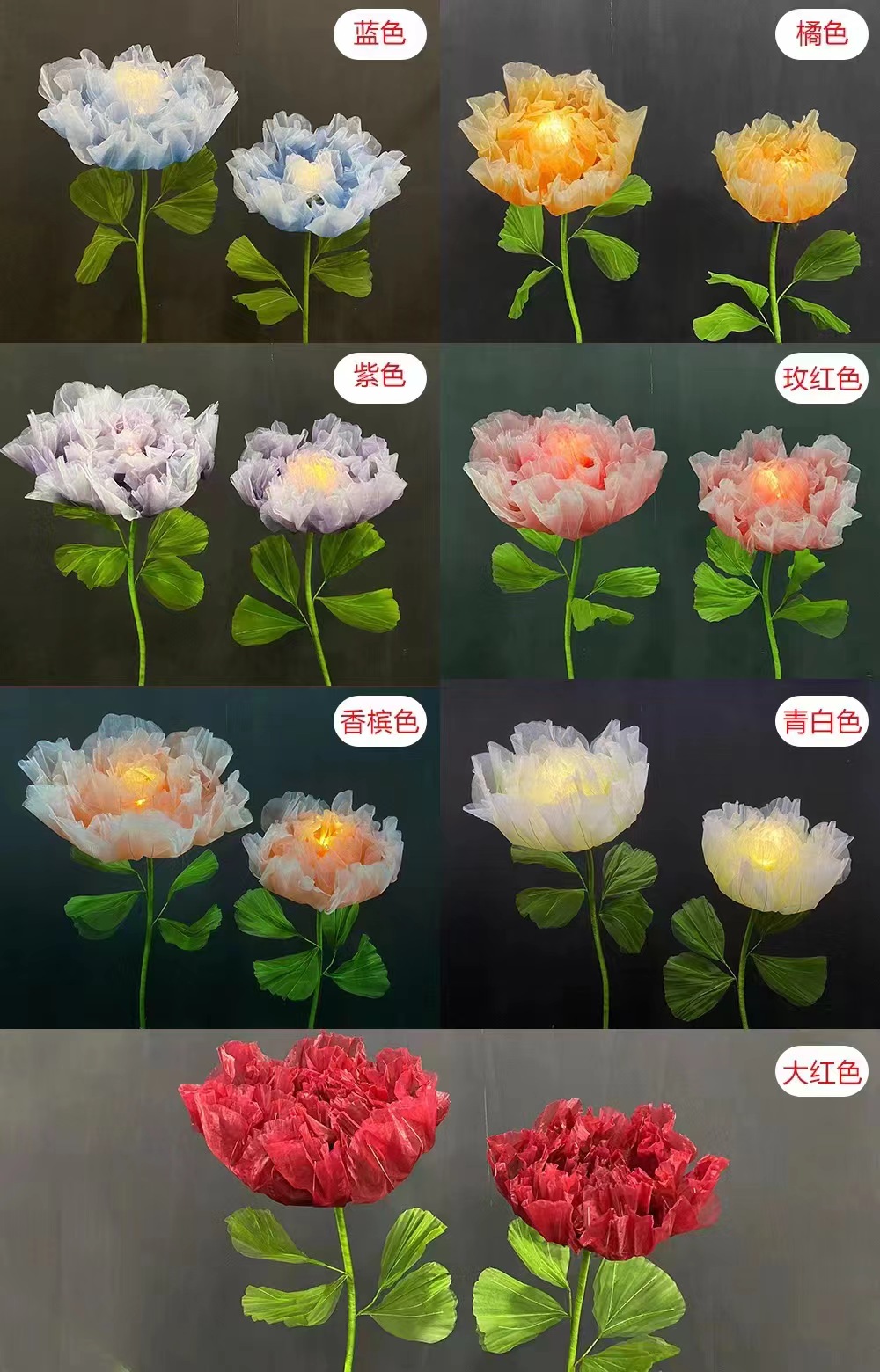 Fleur géante 5