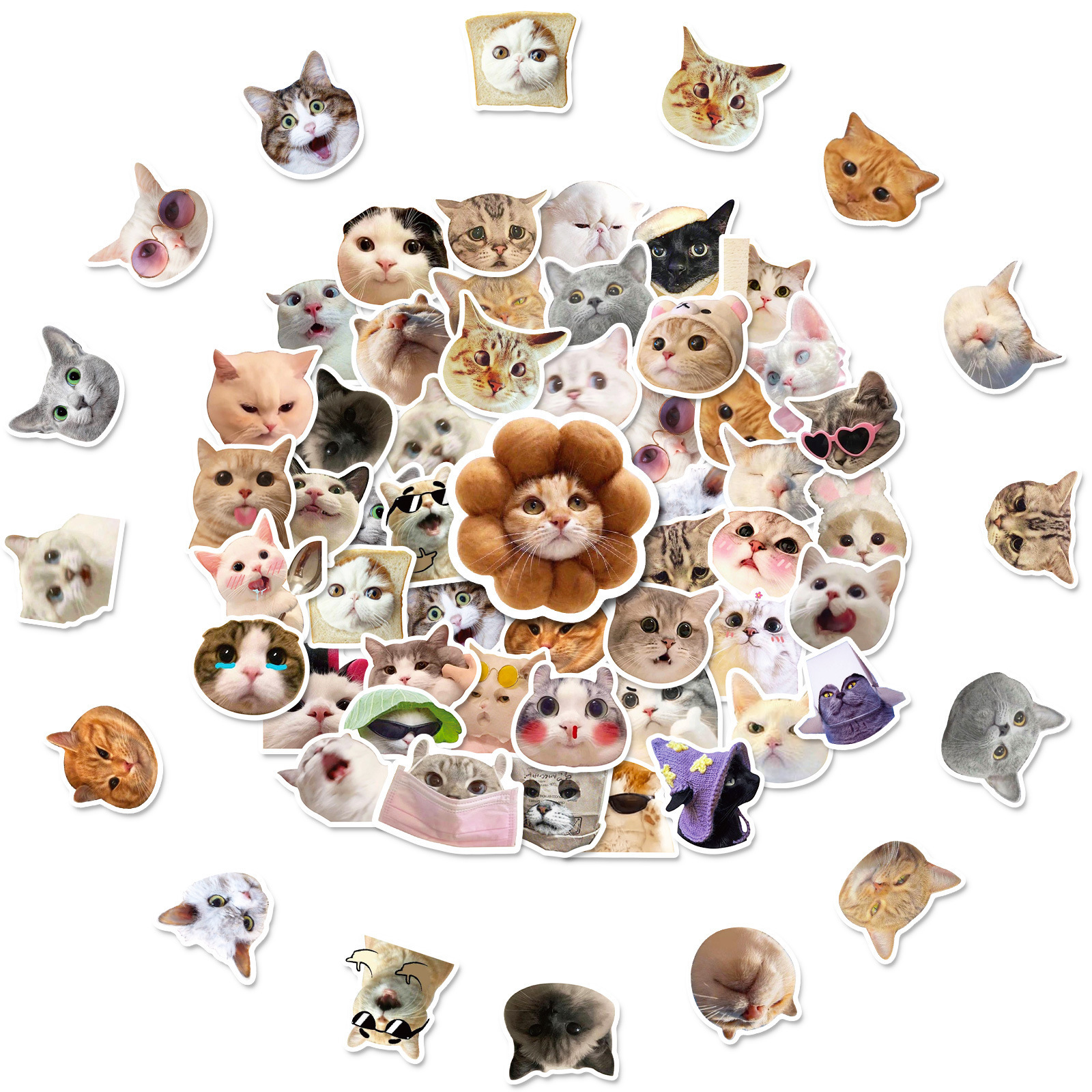 T01040935 - Cute cat images 50 sheets