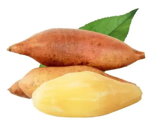 Yacon Shirley Fruit Polymnia Sonchifolia Saussurea Involucrata Fruit Extract Siroop Poeder - Product Image 6
