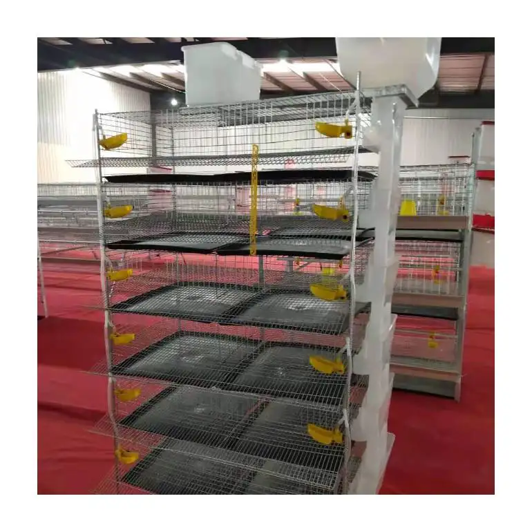 Automatic quail cage poultry farming galvanized wire mesh animal cage