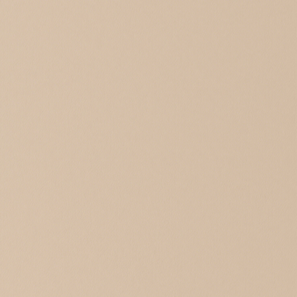 Kaki