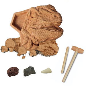 恐龙化石恐龙牙齿粪便化石挖掘套件挖掘玩具 - Product Image 6