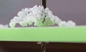 ZS支持在各种品牌的机器上打印3d树脂国王3d打印机3d打印原型打印机SLA 355 3D打印