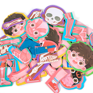SD17Kid Boby Cognition <strong>Toy</strong> Set Montessori Human Body Structure Wooden Puzzle Children Biological Learning <strong>Toy</strong>