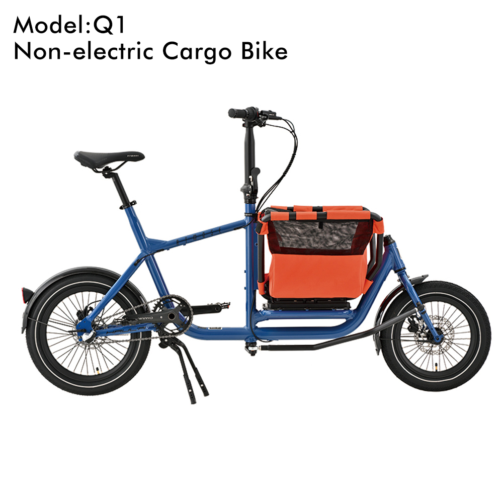 Q1_Bleu