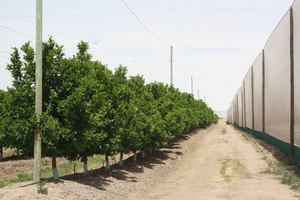 Kunststoff netz Netz Landwirtschaft netze Starkes Maschen netz Hdpe Mesh Anti Wind Netting Gerüsts chutznetz - Product Image 4