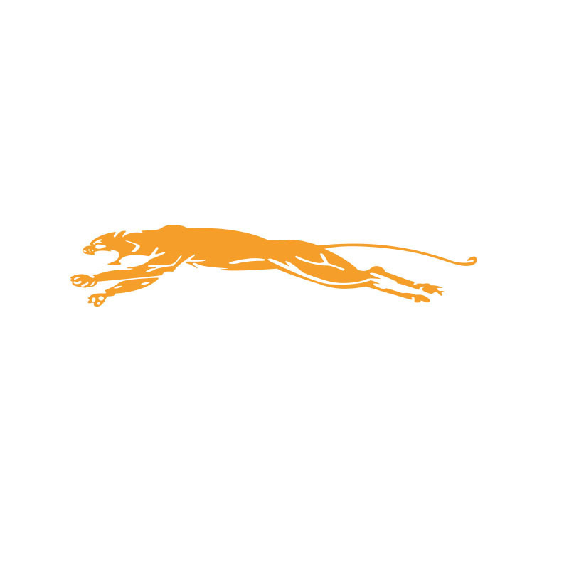 Orange réfléchissant + gauche