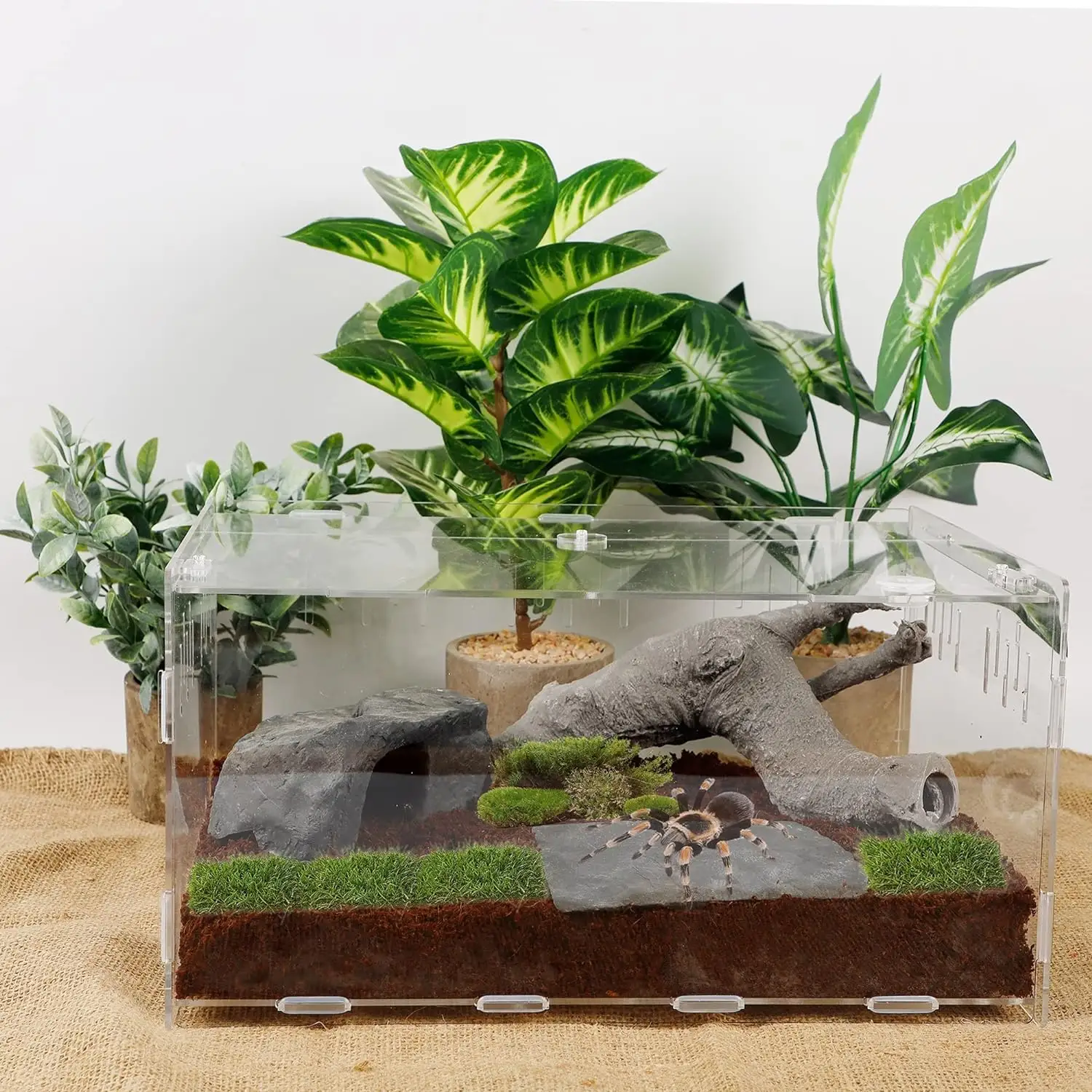 Bán buôn tùy chỉnh trong suốt Acrylic bò sát hộp Acrylic bò sát Terrarium chăn nuôi hộp Tắc Kè Hoa lồng