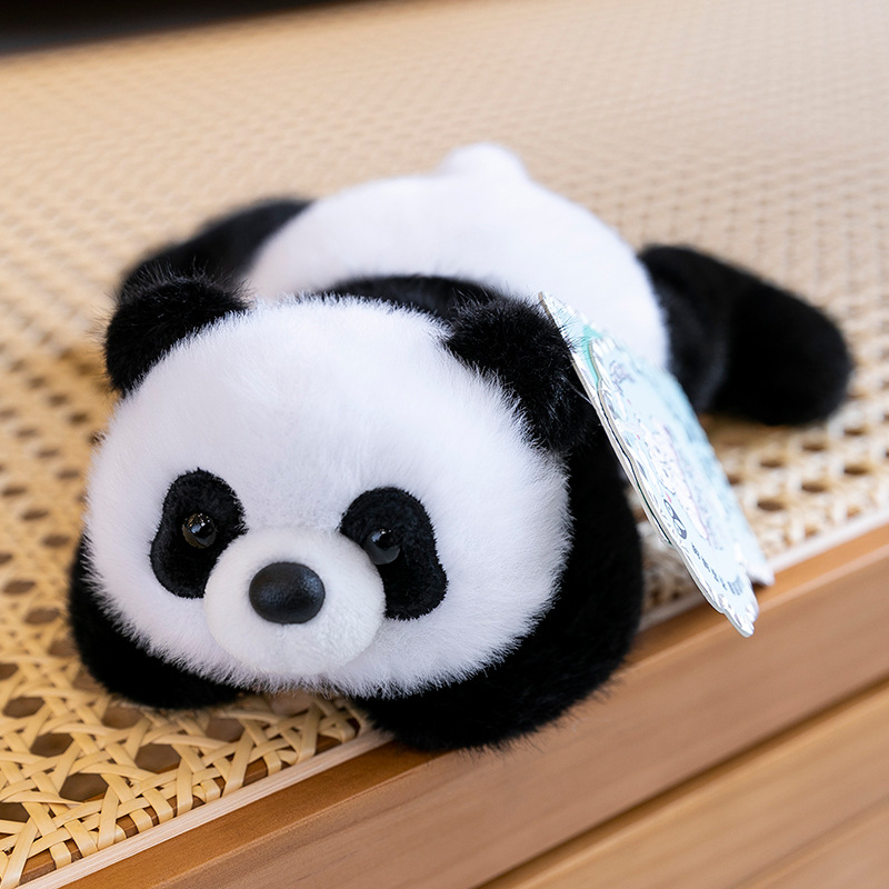 Palmier panda