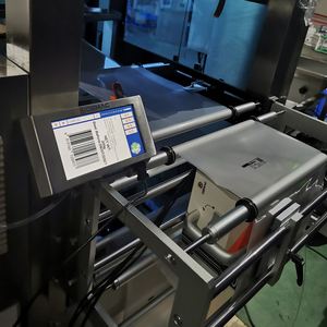 500mm&amp;600mm Metal TTO <strong>Frame</strong> for TTO Printer Installation VJ Markem Domino Intermittent Continuous Mounting Bracket - Product Image 4