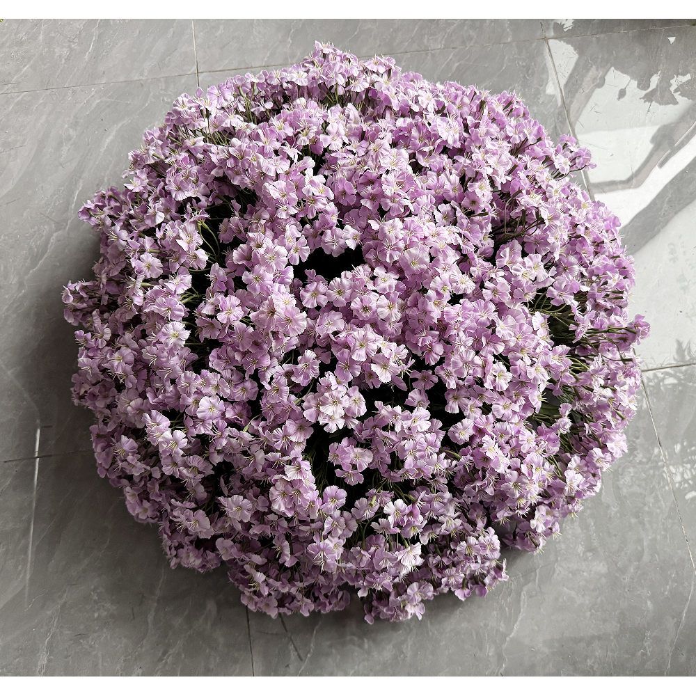 Pourpre