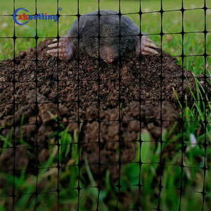15 X 15 mm Mesh 2 m Width Anti-Mole <strong>Net</strong> in Cheap Price to European Market - Product Image 3