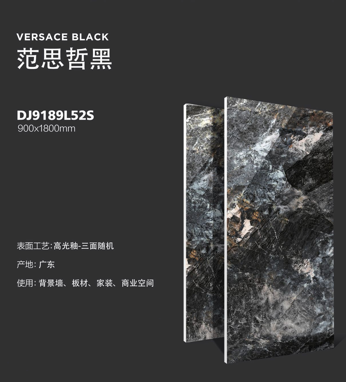 DJ9189L52S