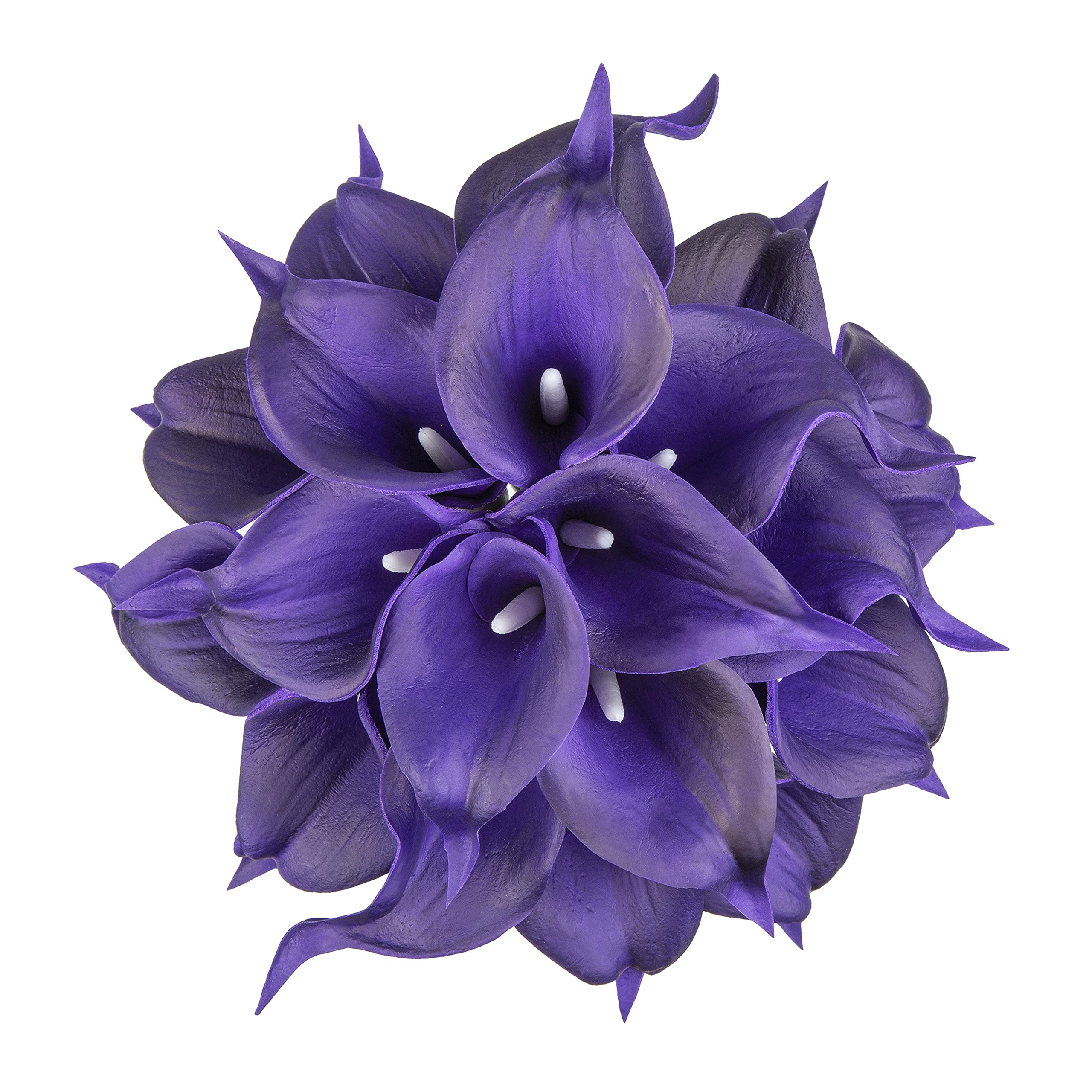 Dark Purple