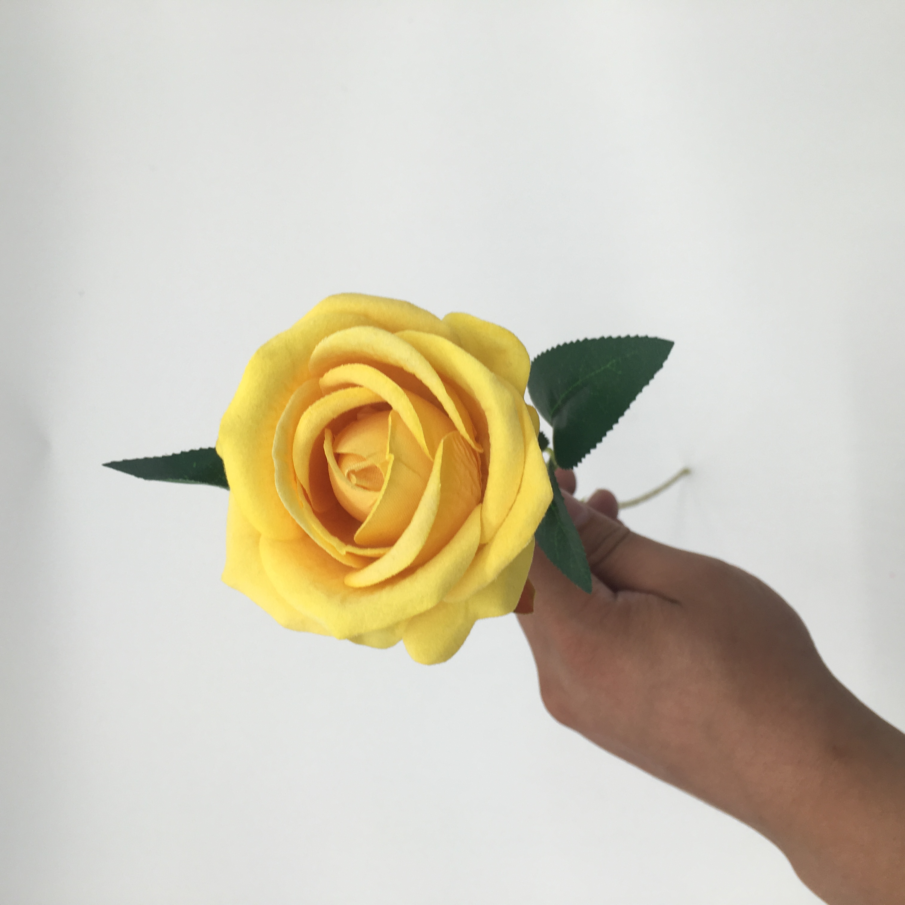 Yellow 1