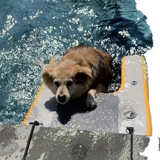 Ejia Fabriek Groothandel Custom Pvc Opblaasbare Water Ladder Ramps Honden Verstelbare Pvc Opblaasbare Hond Oprit Vouw Pvc Ramp Zwembad