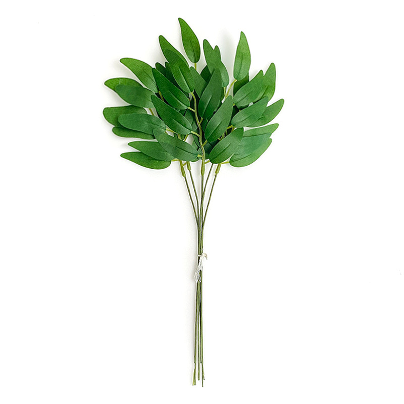 ต้นวิลโลว์สีเขียวป่า - 10 ต้นต่อมัด