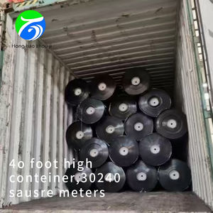 1.0mm lót HDPE geomembranes tiêu chuẩn Mỹ đen mịn ứng dụng của <span class=keywords><strong>Indonesia</strong></span> sắn tinh bột cho xử lý nước thải hồ bơi - Product Image 6