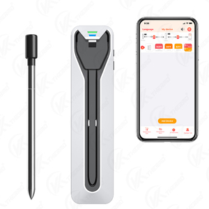 Registrador de datos de temperatura Termómetro digital Termómetro de carne inalámbrico - Product Image 1