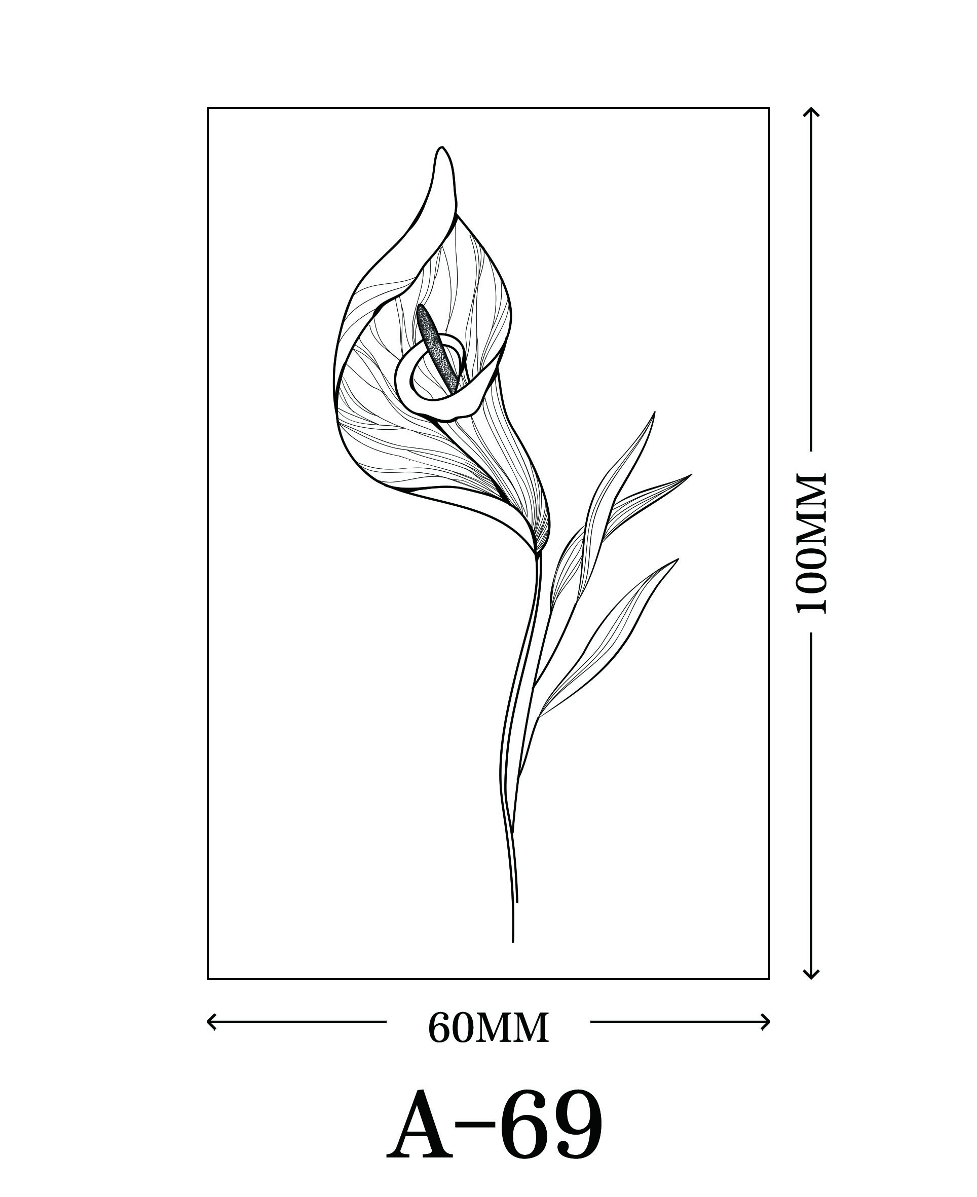 เอ-69