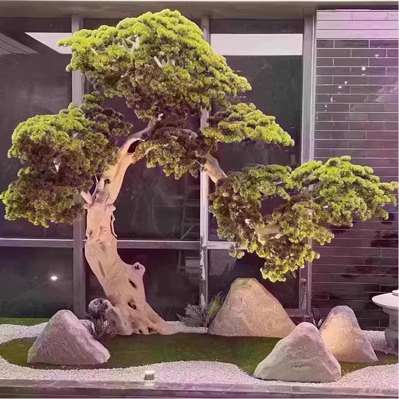 Árbol de 25 m de altura, 3 piedras de rocalla, raíz tallada en madera