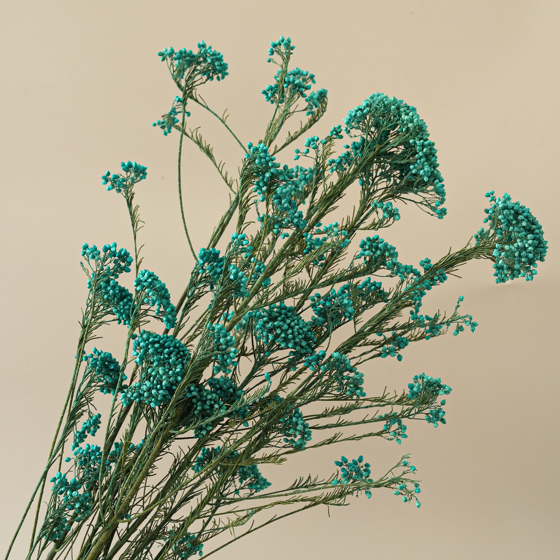 Lake blue-85g