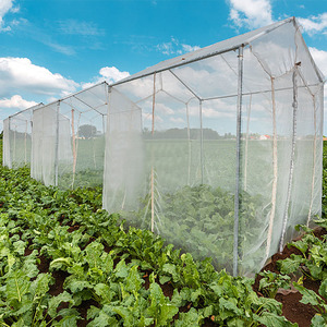 Malla Agrícola Anti-Insectos de HDPE 100% Virgen para Invernadero a Precio Económico - Product Image 4